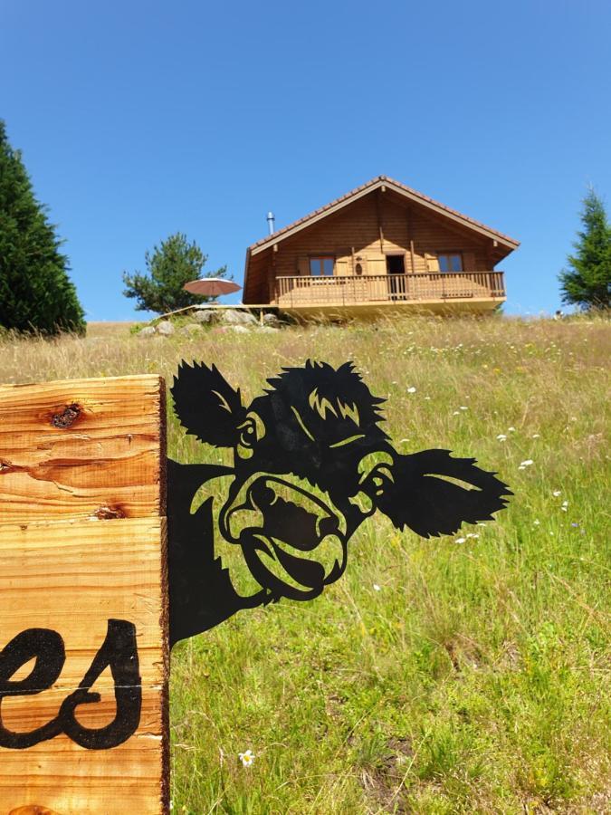 Chalet Les Vosgiennes Le Valtin Exterior foto