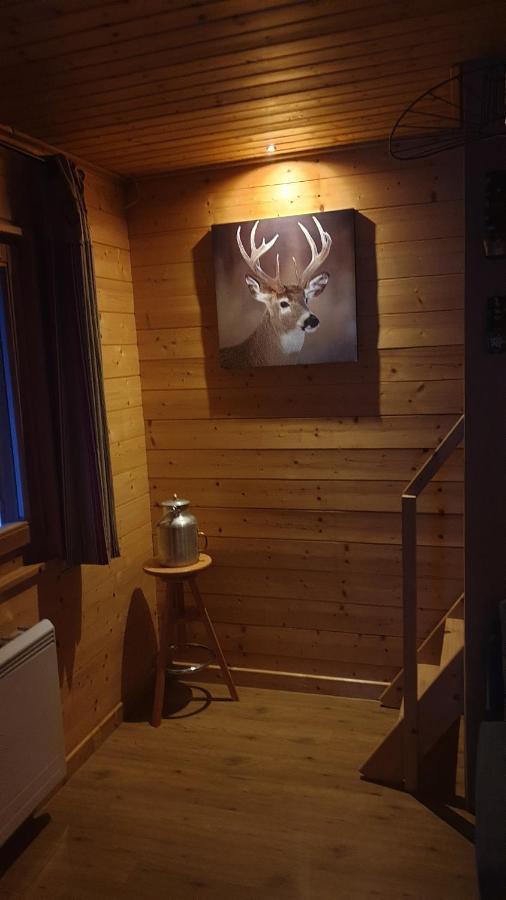 Chalet Les Vosgiennes Le Valtin Exterior foto